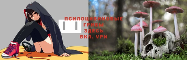 ешки Покров