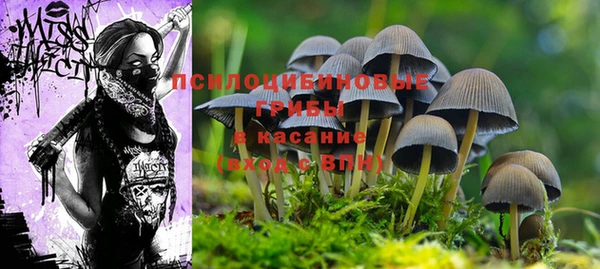ешки Покров