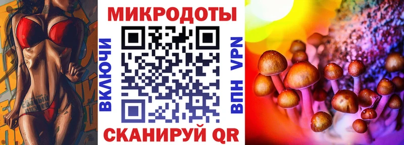 Псилоцибиновые грибы MAGIC MUSHROOMS  Купить закладки  Котельники 